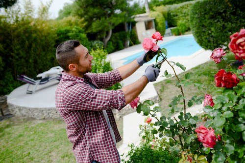 Photograph showing a homeowner pointing out hedge to be trimmed