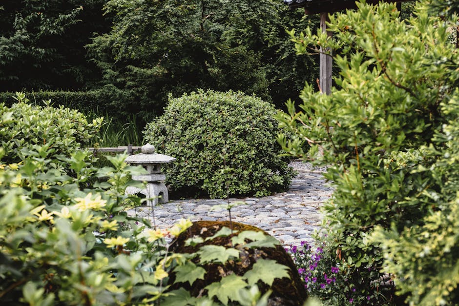 A close-up view of a garden scene featuring a weathered wooden deck with visible grain and slight moss growth. On the deck, there is a rectangular, dark-colored planter containing a healthy, green suc