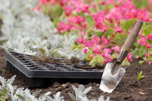 Hedge trimming tools and equipment used by professionals